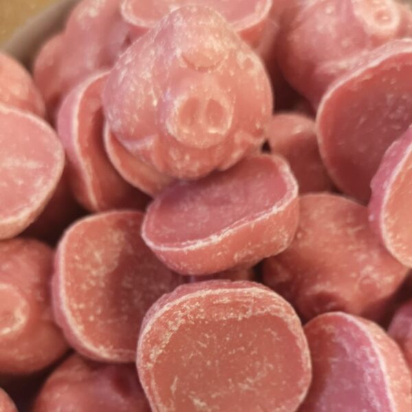 Hannah's Pink Porky Pigs