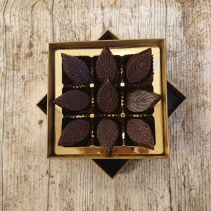 Dark Mint Fondant (9 Chocolate Box)